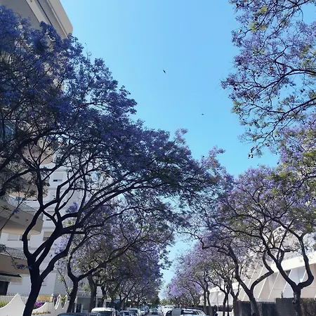 Apartment Centro Marbella